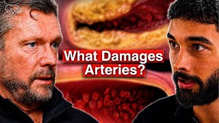 Dr. Ken Berry: The TRUTH About LDL, Seed Oils & High Blood Pressure