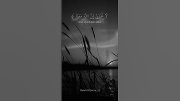 سورة التوبة || آية 40 || صفحة 193 بصوت عبدالرحمن مسعد