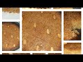 قلب اللوز طلب الجماهير طري معسل مع شربات طبيعية بدون سكر لكل حلوياتكم ام زاكي قلب اللوز طلب الجماهير طري معسل مع شربات طبيعية بدون سكر لكل حلوياتكم ام زاكي