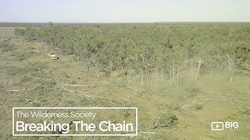 Wilderness Society Breaking The Chain: Building a society that protects the environment