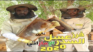 فرز عسل السدر الإماراتي لعام 2020 | مناحل الثنيان