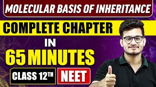 MOLECULAR BASIS OF INHERITANCE in 65 Minutes | Full Chapter Revision | Class 12th NEET