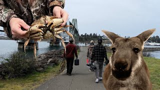 Weekend Coastal Getaway! Seafood catch and cook on the Oregon Coast!