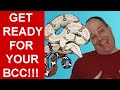 Your First True Red Tail Boa Constrictor- A Complete Starting Guide!