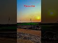 evening time enjoy video nature 🥰👍 #remix #newmusic #music #dance #love #danceanthems