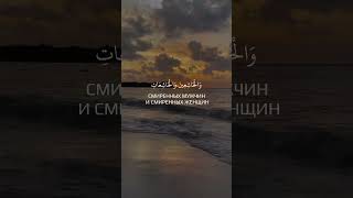 |Сура 33 Аят 35|📚Сура: Аль-Ахзаб (Союзники) 🎙️Чтец: Мухьаммадлоик Кори