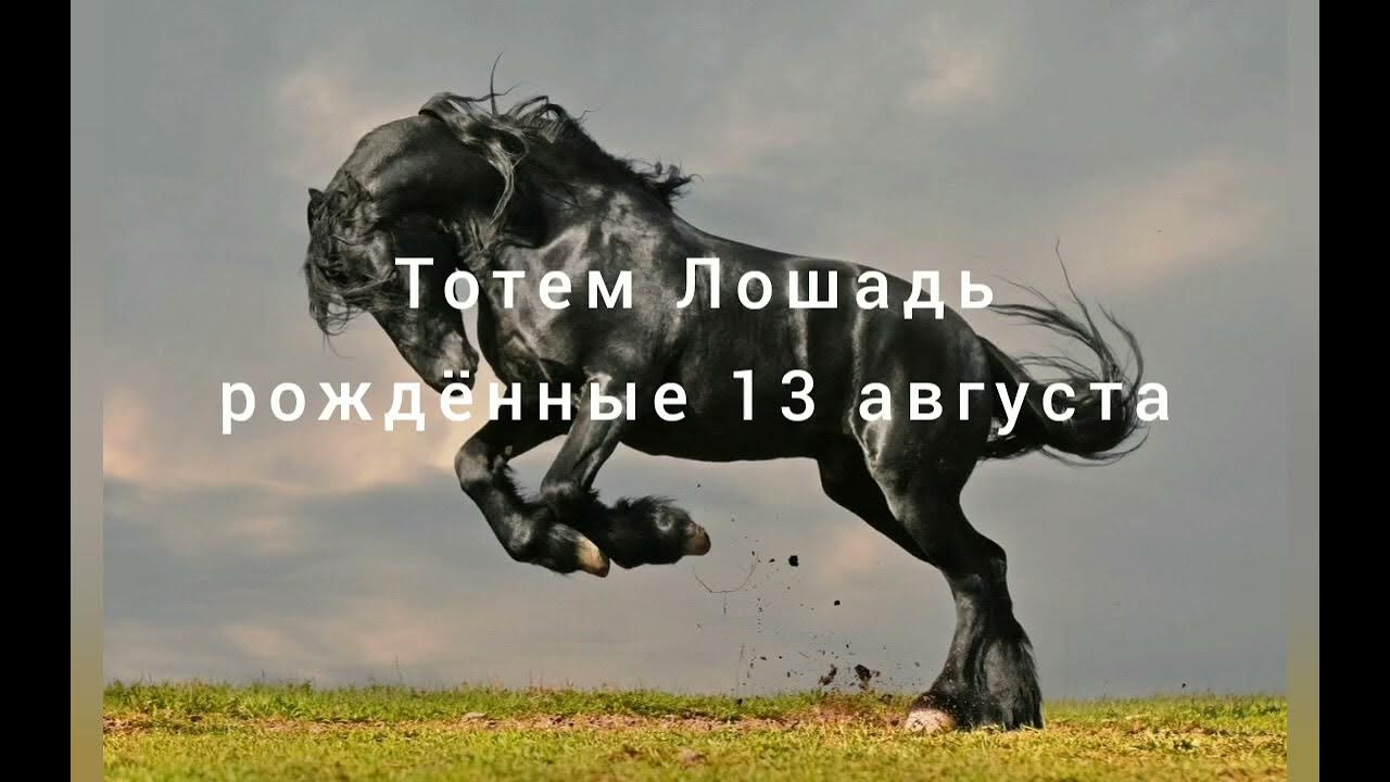 Конь тотем. Тотемный конь. Шаманский конь. Джуди ларсон дикие лошади. Год огнегривого коня 2022.