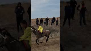 видео: 26.10.25. Нанбай ауыл уллы шабыс 13 айлау картинка: 26.10.25. Нанбай ауыл уллы шабыс 13 айлау