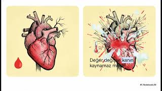 Dünya’daki Bu Hassas Dengeler Tesadüf mü? (Şaşırtan Rakamlar)