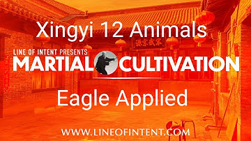 Eagle Seize vs Seated Attack