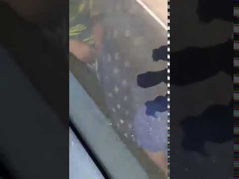 اصابات بحادث طرق في طريق العودة من شرم الشيخ وازدحامات مرورية