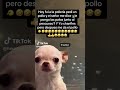 #parati #humor #risa #gracioso #risas #memes #comedia #meme #chistes #actitud #chiste #perros #perro
