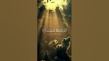 ( ادْخُلُوا الْجَنَّةَ أَنْتُمْ وَأَزْوَاجُكُمْ تُحْبَرُونَ ) بتلاوة الشيخ محمد اللحيدان.