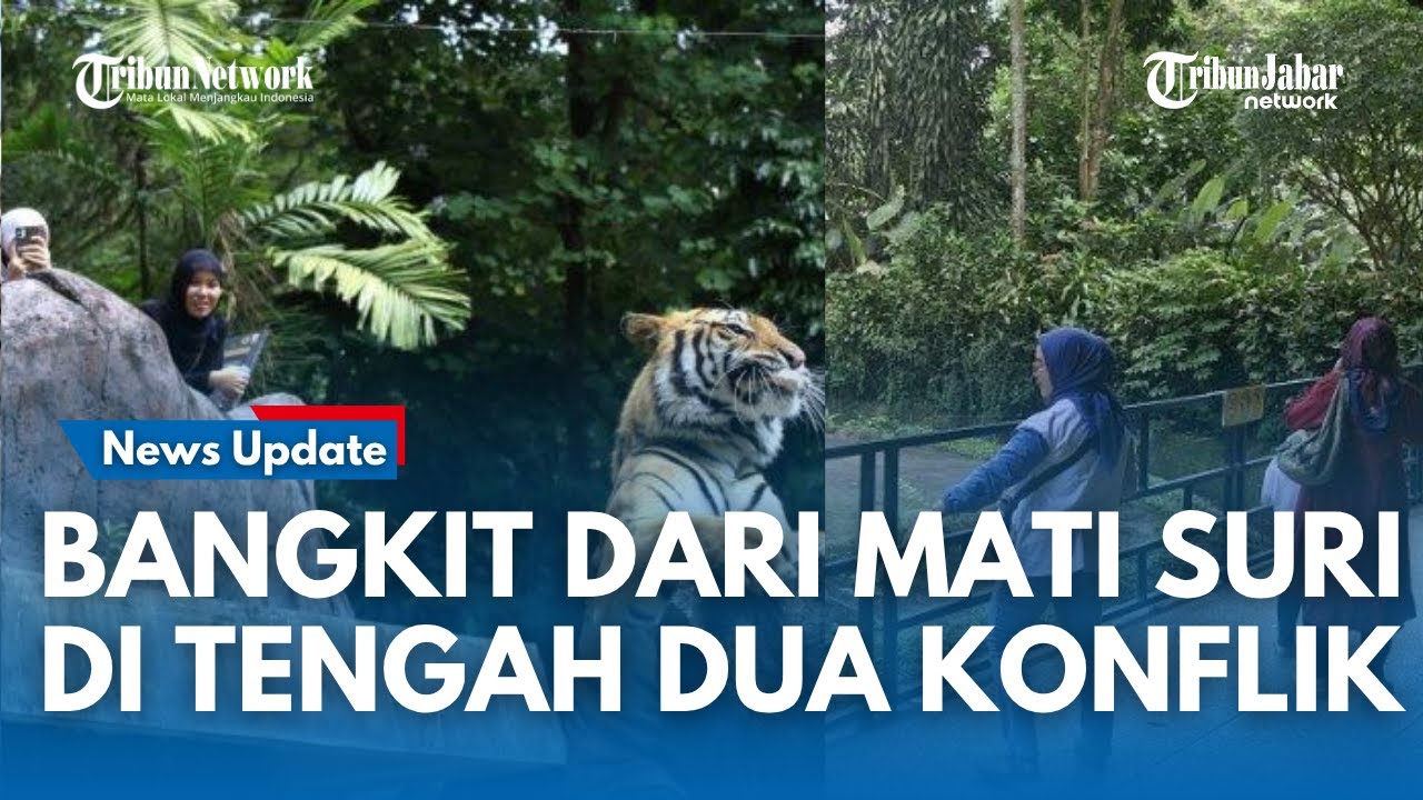 Dampak Dualisme Kebun Binatang Bandung Berujung Tutup, Kini Kembali Buka Hari Ini