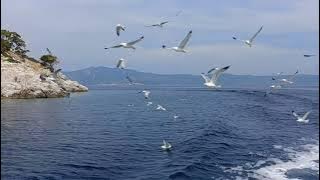 11 hour Quran with 4K relaxing  nature video -Beautiful Quran Soothing Recitation #quran #relaxing