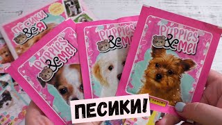 Наклейки с собаками в новой коллекции PUPPIES & ME! Пёсики & Я