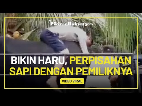 Video: Irina Baeva Berterima Kasih Kepada Ayah Mertuanya Atas Dukungan Yang Diterima