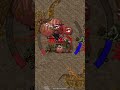 Paz e Amor 🕊️ @HeyAfro #tibia #live #corte #rezistro #mmorpg #gamer #gameplay
