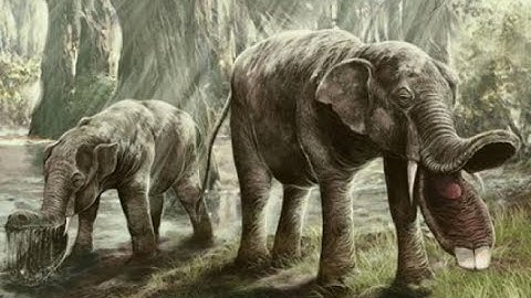 10 Nightmarish Animals you will be Happy are Extinct
