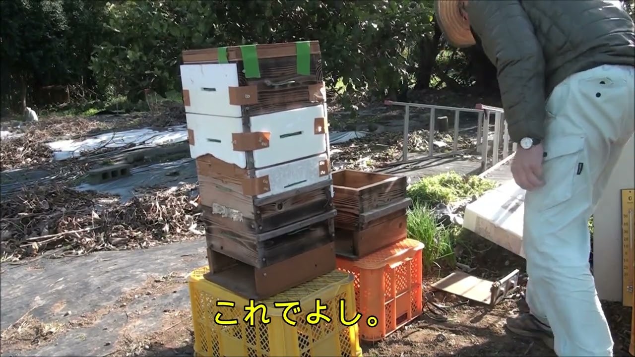 February 2024: Second tsugi box - YouTube