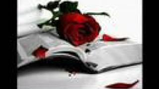 Duvarlarda Konuşmuyor Taylan