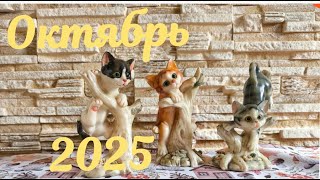 картинка: Совет фей на октябрь 2025