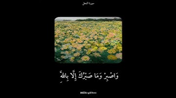 سورة النحل 🎥:أرح قلبك ♥️