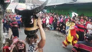 Download lagu Banteng Metal Maheso Suro New Satrio Rogo Sejati Live Bodo Pulorejo Ngoro Jombang