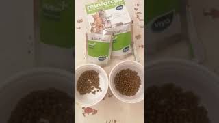 Viyo Reinforces Nasıl Kullanıyorum?