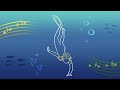 Capture de la vidéo Crafting The Ocean In The Music Of Abzû (Feat. Austin Wintory)