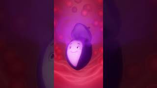 Mangosteen Inside Your Body 🟣✨ | Healing Power 3D Animation #mangosteen #healing #wellness