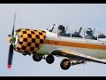 Yakovlev  yak52  pilot nigel wilson hobbyking colors  lma rougham rc model aircraft show  2015