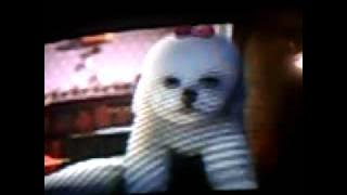 Dog from Shrek 2 (again)