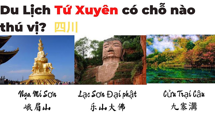 So sánh tứ xuyên và qungar tây năm 2024