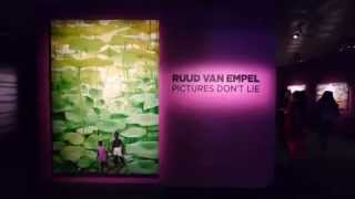 Ruud van Empel - Pictures don't lie - Fotografiska, Stockholm