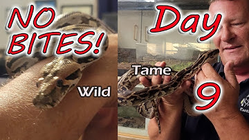 Day 9 Handling Without a Bite What