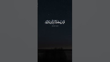 قُلْ مَنْ يَكْلَؤُكُمْ بِاللَّيْلِ وَالنَّهَارِ مِنَ الرَّحْمَٰنِ القارئ #هاني_الرفاعي الوصف👇👇