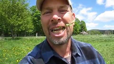 The Grass Whisperer does some grazing of his own.