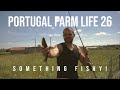 Portugal Farm Life - 26 - Catching fish in our well!