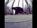 Весенняя прогулка и танцы