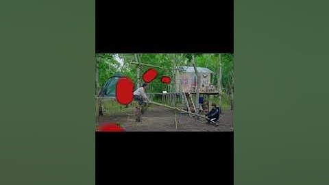 Thơ Ngáo Ngơ Bỏ Đi Tự Làm Nhà Lá Chuối Trên Cây