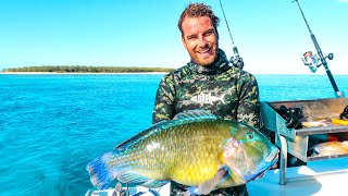 Spearfishing & Camping On The Reef (CRAZY MARINE ENCOUNTERS!)