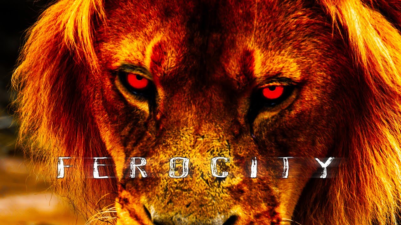 Guarda ASTROLEV - ferocity / hard electro su YouTube Guarda ASTROLEV - ferocity / hard electro su YouTube
