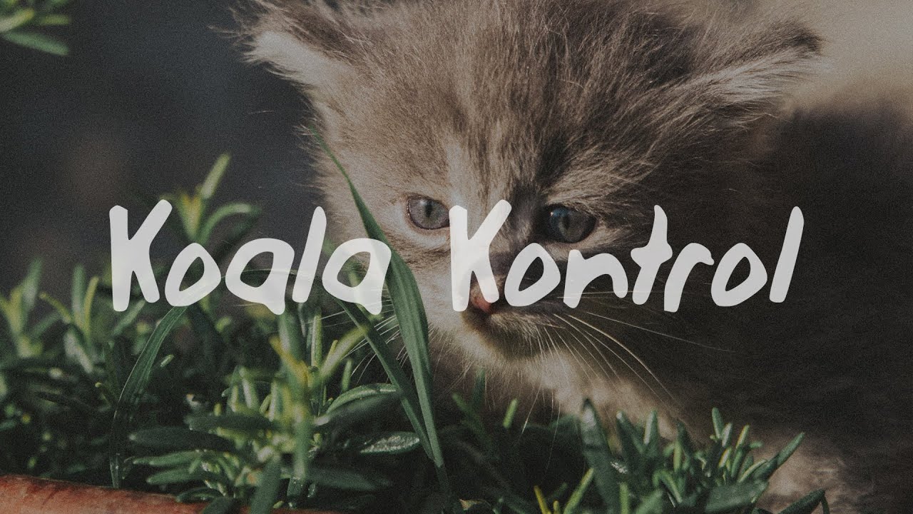 Chloe Lilac MODERATION (Lyrics) YouTube