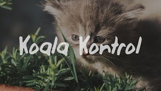 Chloe Lilac - Moderation Lyrics