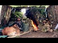 Camp dhiver de 3 jours en pleine nature avec mon chien  camping refuge bushcraft