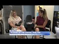 Pet Pals: St. Joseph Animal Shelter highlights two sweet kittens ‘Alfa Romeo and Benz’