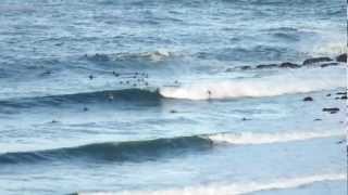 PRAIA DA SILVEIRA 02 DE MAIO DE 2012 PARTE 1