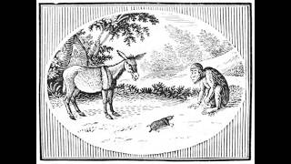 Reading Aesop's Fables - An Ass, an Ape, & a Mole