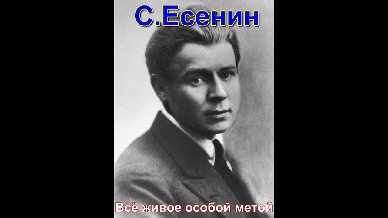 Особой метой. Есенин все живое особой. Все живое особой метой. Стихи Есенина всё живое особой метой. Все жыиое особо метает.